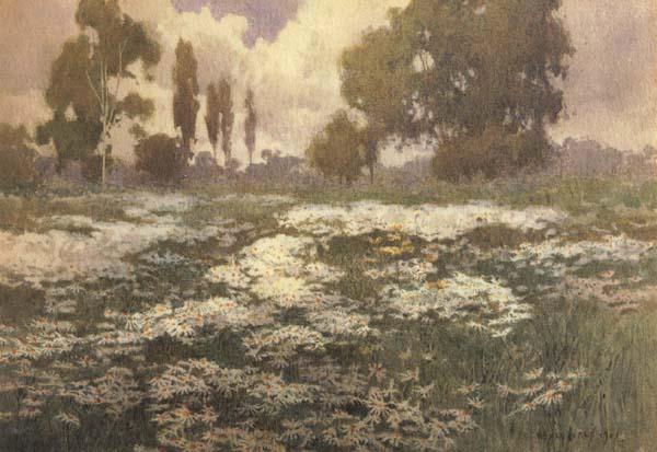 unknow artist Field of Daisies Sweden oil painting art